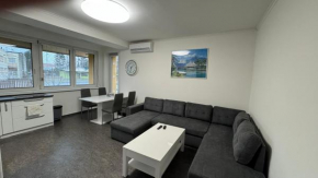 3 Bedroom Apartment U Sokolovny